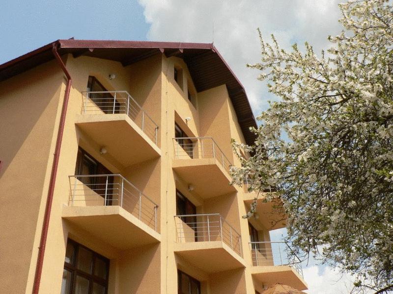 Hotel FLORA ALPINA Azuga Exterior foto
