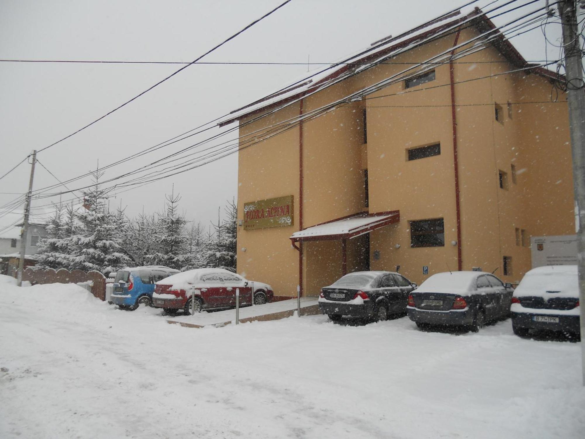 Hotel FLORA ALPINA Azuga Exterior foto